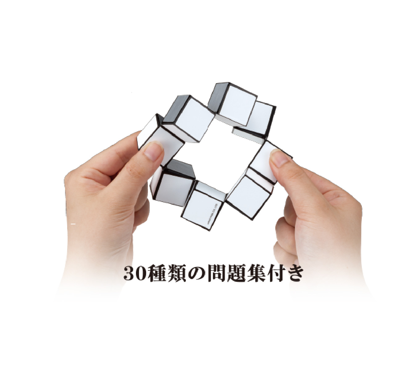 Hanayama Katsunou Pazzle Brain lucky cube From japan 